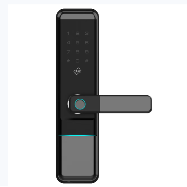 Popular ELA E-596 Tuya Keyless Entry Biometric Fingerprint Password Home Digital Smart Door Lock