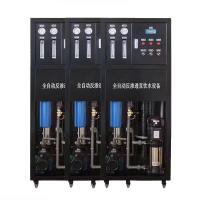 0.25T/H Small-Scale Reverse Osmosis Drinking Water Unit