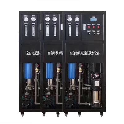 0.25T/H Small-Scale Reverse Osmosis Drinking Water Unit