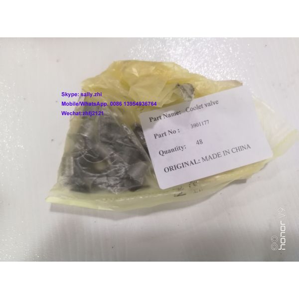 brand new Coolet valve, 3901177,  Cummins engine parts for 6 CTA Cummins engine