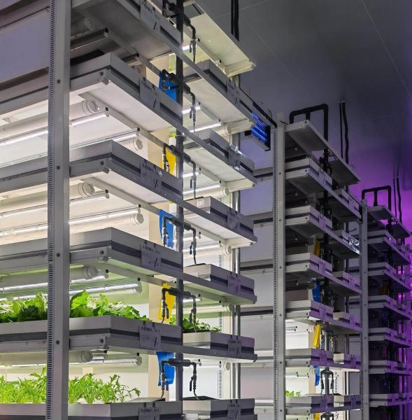 Greenhouse Hydroponic Vertical Farming Container System in 40FT Container 40HQ Reefer