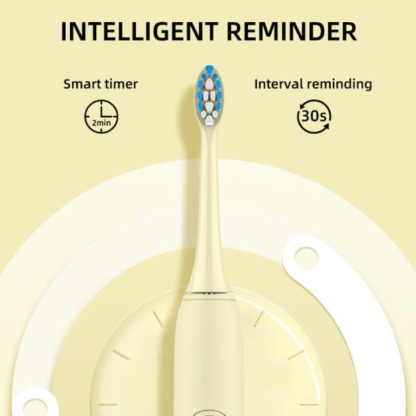 Smart IPX7 Adult Timer Electric Toothbrush For Oral Cleaning Whitening