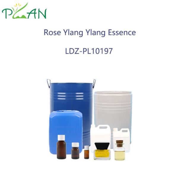 Plant Extract Essence Oil Rose Ylang Ylang Essence  For Perfume  Moderate Intensity