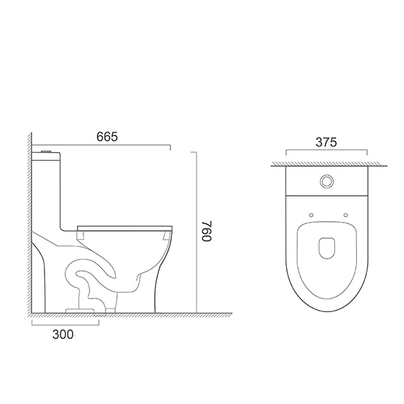 Mildew Resistant One Piece Toilets 375x665x760mm One Piece Toilet Closet For Bathroom