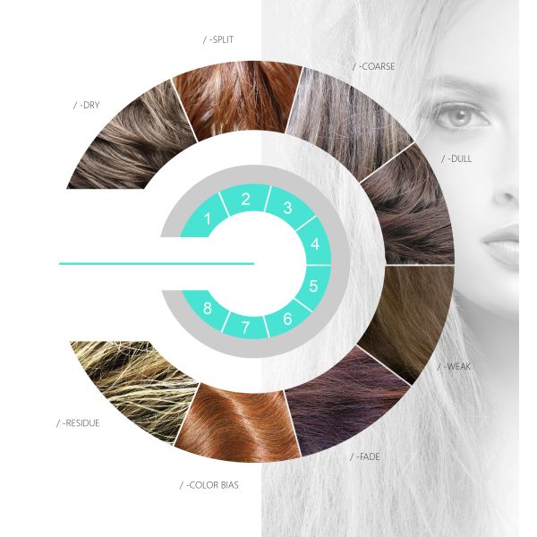 260ml Permanent Hair Colour Cream With Customized Logo GMP / ISO