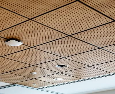 Decoração Painel de tecto de defleção de alumínio telhados de tecto acústicos 3D suspensos