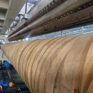Sj120/33 Geo Membrane Film Extrusion Line With Customized Options And CE