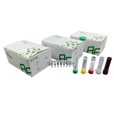 Feline Parvovirus Isothermal Detection Fluorescence Animal Disease Kit