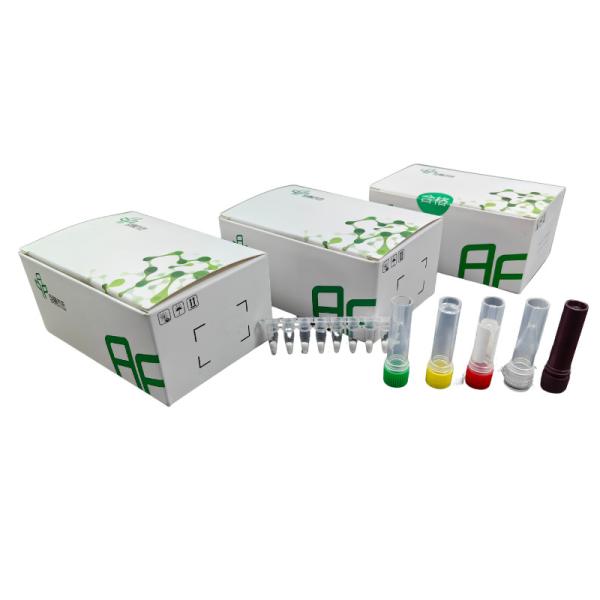 Feline Parvovirus Isothermal Detection Fluorescence Animal Disease Kit