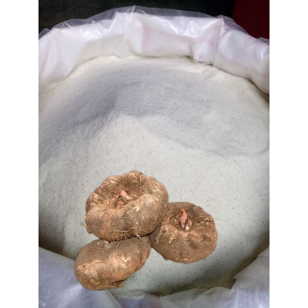 Weight Management Konjac Flour Gum Extract Blood Sugar Control Thickening Ingredient