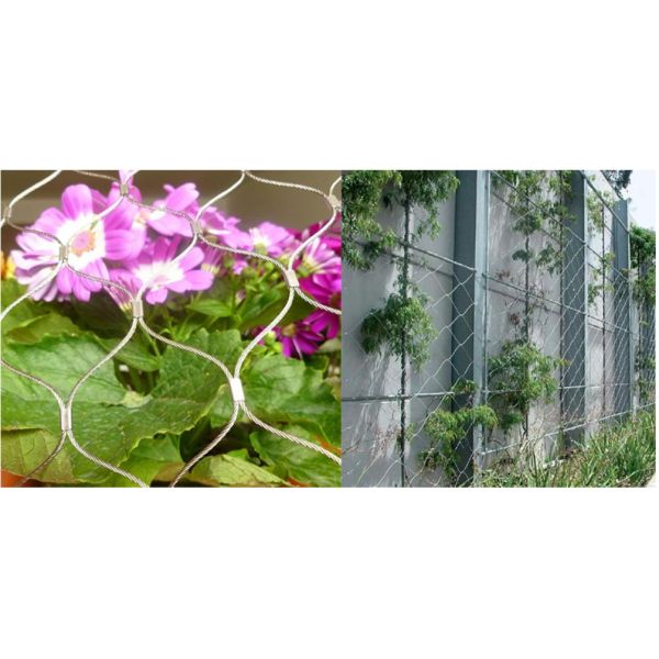 Special Steel Rhombus Plant Climbing Net , Black Oxide Garden Climbing Mesh