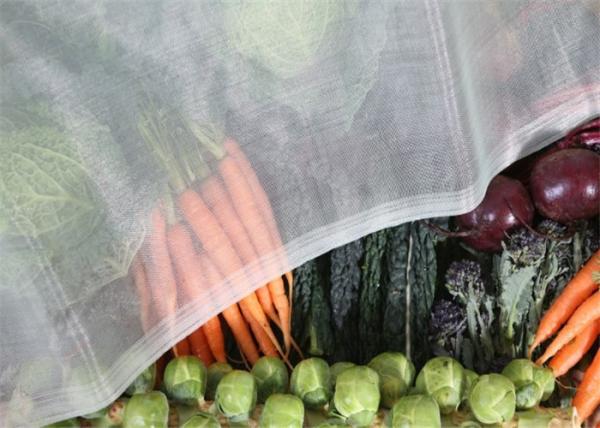1.35 X 1.35 Mm Mesh Hole Plastic Insect Mesh For Vegetable Fruit Protection