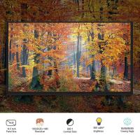 Symmetry Laptop Display LCD de 14 polegadas 1920 x 1080 Área ativa 309,31 x 173,99 mm