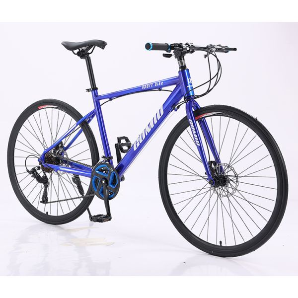 Customization Road Bike with Aluminum Alloy Frame and Disc Brake System 700C Mountainbike