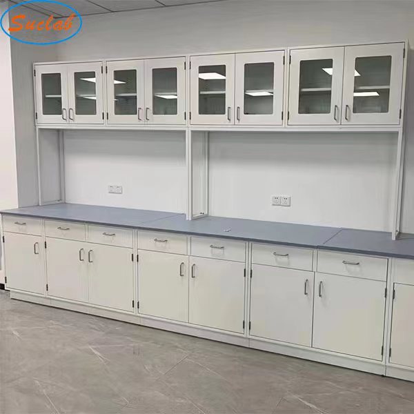 Самый последний дизайн 2022 подгонял сделанный Суд лаборатории размера самая сильная химическая устойчивая лаборатория ставит изготовители на обсуждение