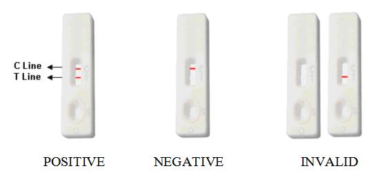 20 Pc HAV IgM Rapid Test Cassette Colloidal Gold Rapid Test Card