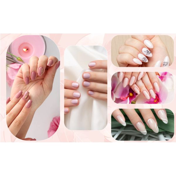 Professional Acrylic Nail Kit for Beginners With Nail Brush Monomer Acrylic Powder Set Nail Extension Form