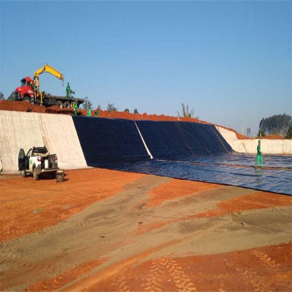 Вкладыш 1mm 1.5mm 2mm пруда Geomembrane места захоронения отходов Biodigester Lldpe