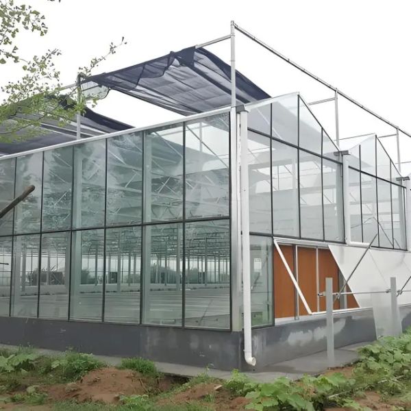 Cultivo sin suelo Invernadero comercial tipo Venlo de vidrio de múltiples vanos