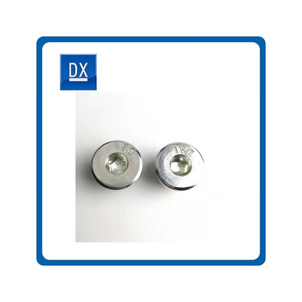 Carbon Steel Round Head Gasket Oil Plug For Audi