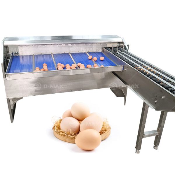 Egg Grading Machine with Egg Lifter and Duck Egg Sorter 200W Capacity 5400 eggs/h