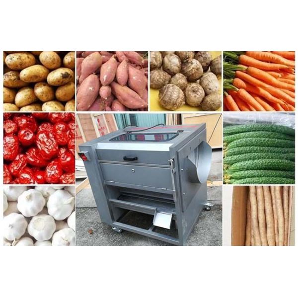 Машина стирки и шелушения коммерчески лука моркови таро плода Вегетабле