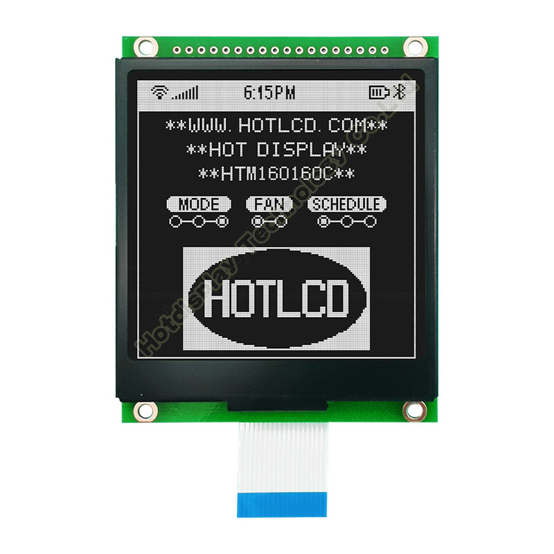 модуль 160X160 FSTN графический LCD с белизной освещает UC1698 контржурным светом HTM160160C
