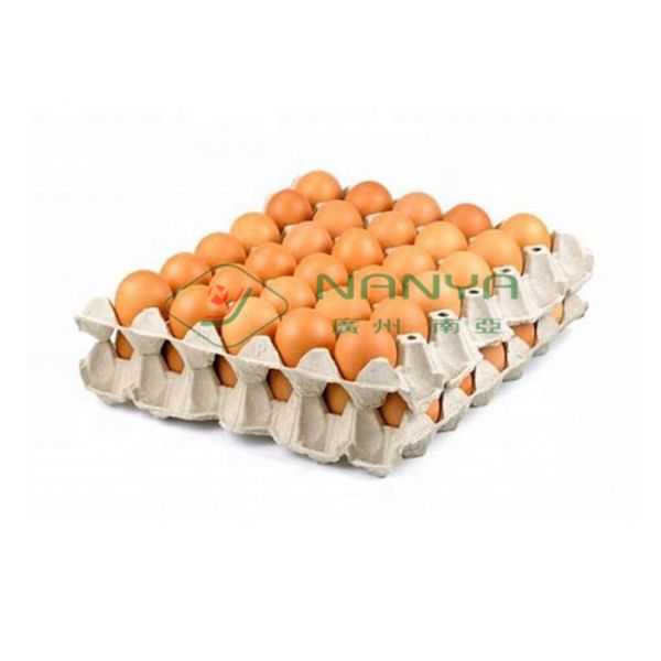 Full Auto Moulded Pulp Egg Tray Production Line for Cup Holder / Paper Tray