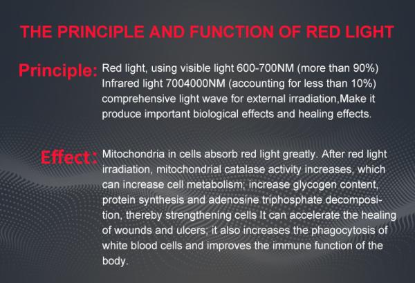 Improves Blood Circulation Relieves Joint Pain Light Therapy Machine Near Infrared Therapy Mat