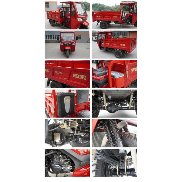8 Leaf Springs Rear Suspension 250cc Gasoline Motorcycle with Automatic Transmission