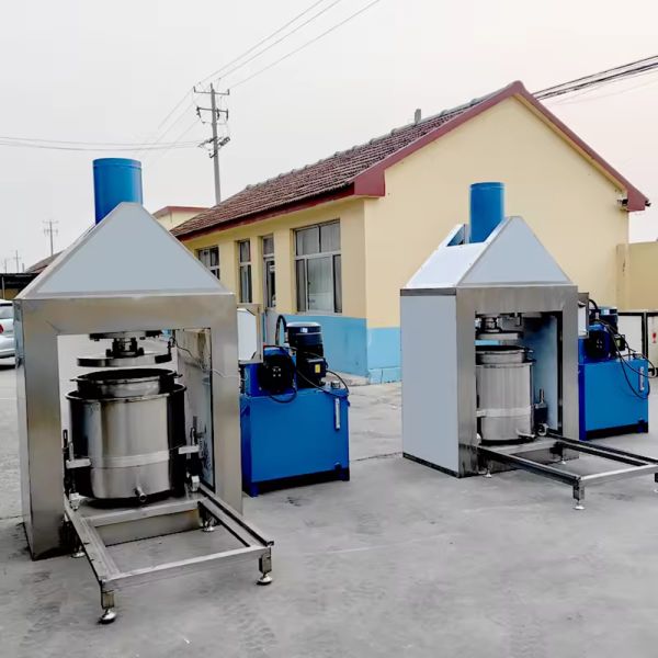 Custom Industrial Juicer Industrial Juice Extractor Industrial Fruit Juicer Fruit Press For juicing fruits and vegetables such as apples, pineapples, bananas, etc.