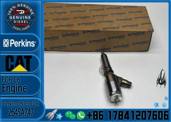 320D Diesel Common Rail Fuel Injectors 10R-7672 320-0680 For Caterpillar CAT C4.4 C6.6 Engine PERKINS 2645A747