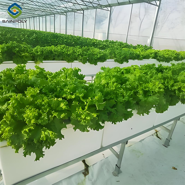 Vegetable Fruits Growing Farm Hydroponic Greenhouse Vertical / Horizontal NFT