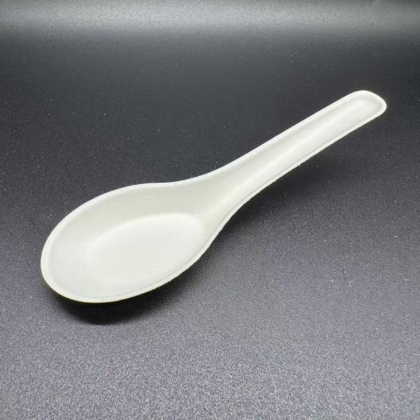 Venda Quente de Fibra Moldada de Bagasse Pulpa Lúpula Eco-Amigável utensílios descartáveis Cantina