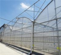 Modern Farming Agricultural Poly Tunnel Plastic Film Tomato Greenhouses