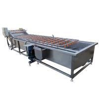 600 kg/h Lavadora de burbujas de aire Lavadora de verduras