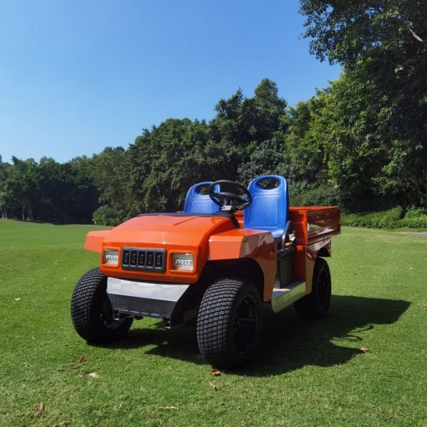 New Design 72V Electric Utility Buggy With Aluminum Cargo