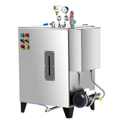 26L Water Capacity Steam Generator Boilers propane Energy Savings OEM