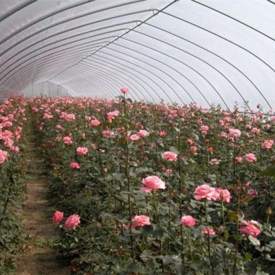 Estufa plástica do período do crescimento de vegetal da estufa do túnel da flor única