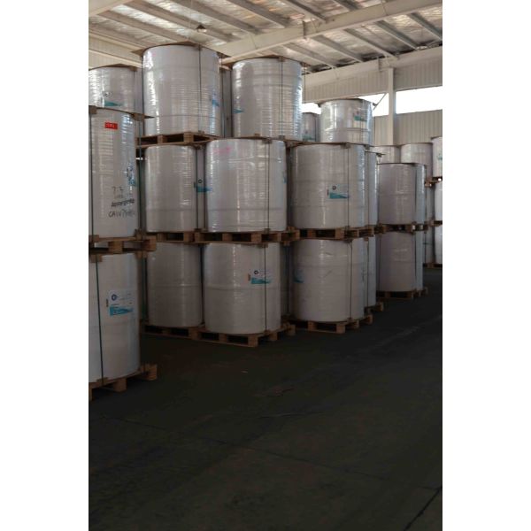 Direct Thermal Print Technology Thermal Label Paper Roll Black Image ≥5 Years Image Life For Easy Label Printing Services
