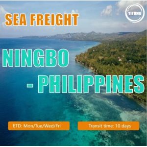 Sea Freight Logistics