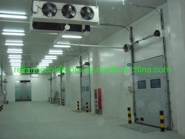 Equipamento de fechadura de portas e painel de armazenamento de frigoríficos de 5 toneladas