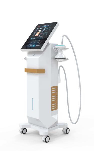 Professional Vertical Piezoelectric FSWT Shock Wave Therapy Machine for Musculoskeletal Disorders