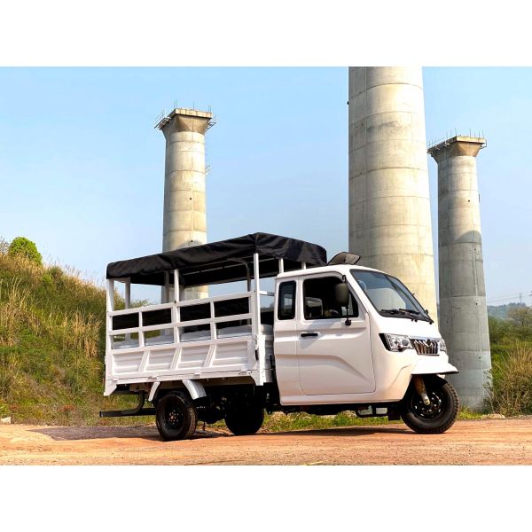 800 Вт полукабинный моторизованный грузовой трехколесный велосипед с закрытой кабиной и пластиковым грузовым крышкой