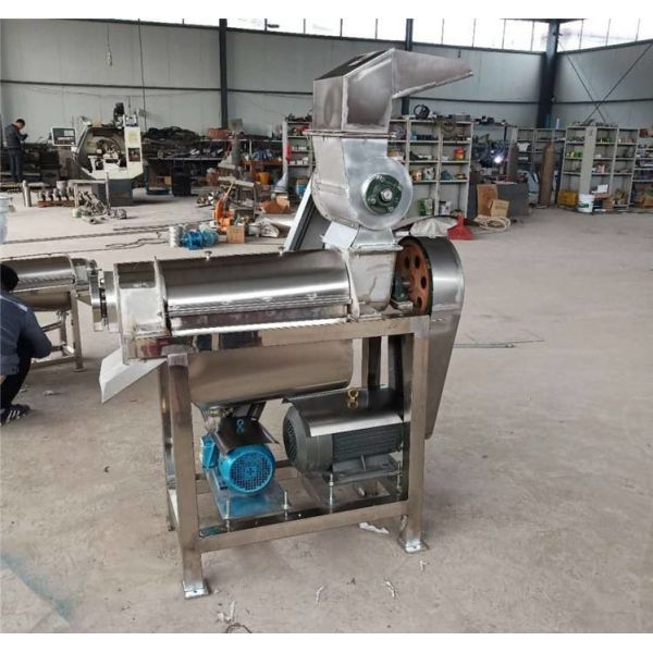 Stainless Steel Fruit And Vegetable Spiral Juicer Beater Fruit Juice Extractor Machine