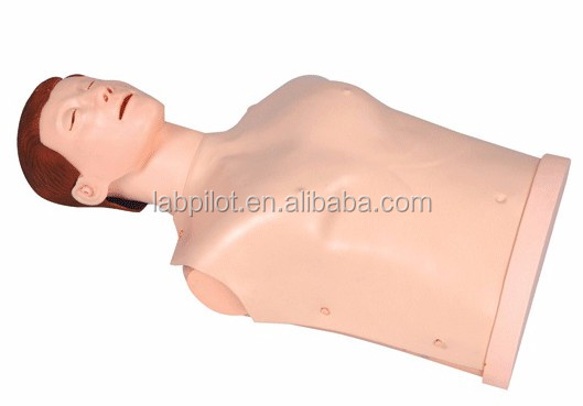 Medical Science Adult Half-body CPR Torso Manikin for Emergency Skills Practice Model