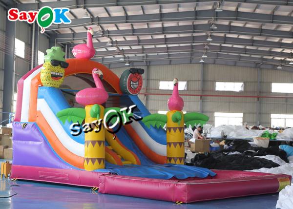 glissière gonflable de videur de bâche colorée de PVC avec l'ensemble de pools