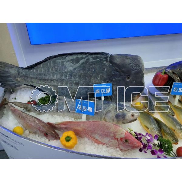 Máquina de hielo de agua salada de 5 toneladas, refrigeración automática por agua para barcos pesqueros