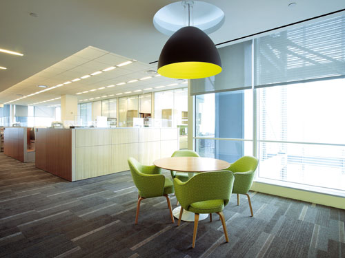 Bent Wood Fiberglass Dining Chair Cashmere Fabric High Density Foam With Multi Colors