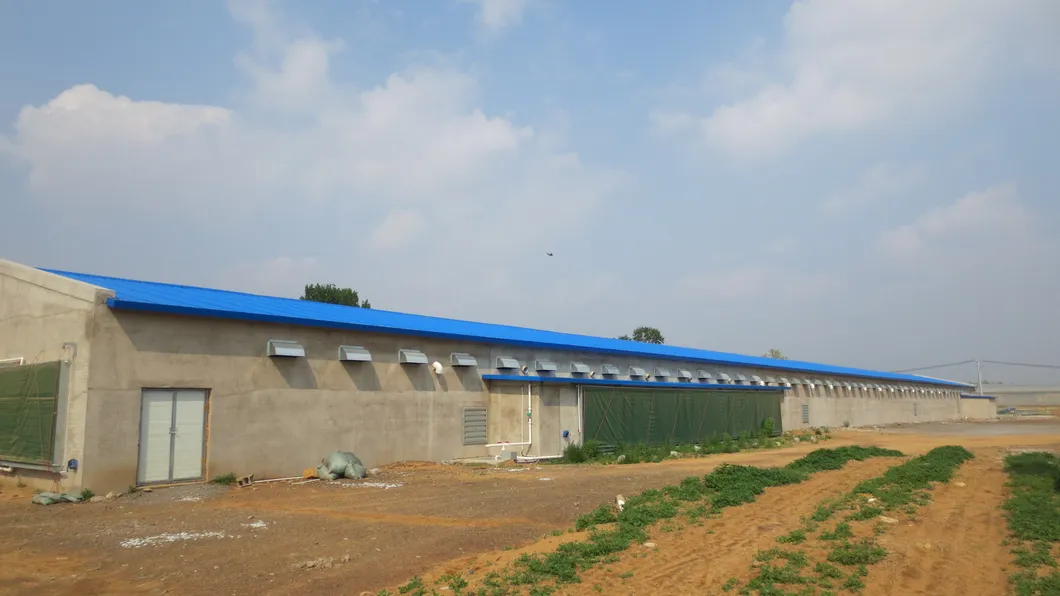 Superior Cooling Poultry Exhaust Fan Corrosion Resistant Structure For Ventilation
